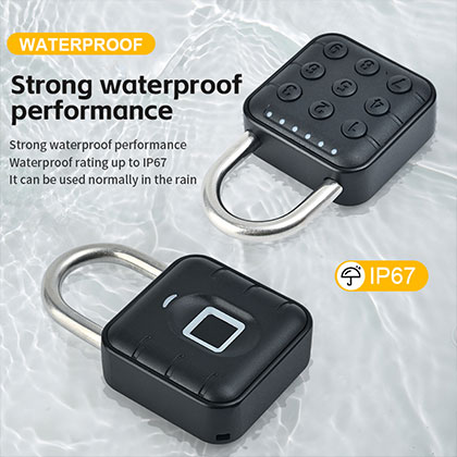 SY12 Fingerprint \ SY13 Password type