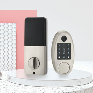 2041 Intelligent door lock series