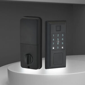 2051 Intelligent door lock series