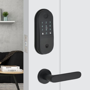 2061 Intelligent door lock series