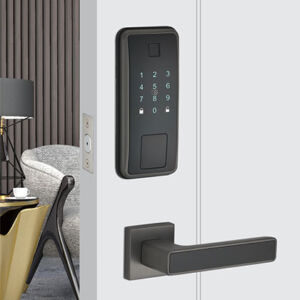 5011 Intelligent door lock series