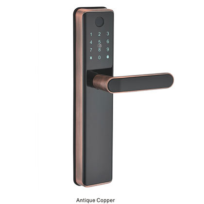 3041 Intelligent wooden door lock series