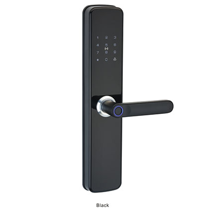 6021 Intelligent anti-theft door lock series