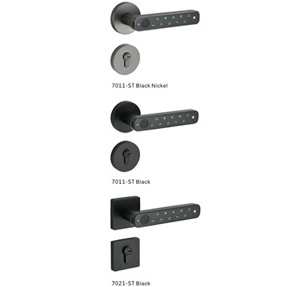 Intelligent wooden door lock series